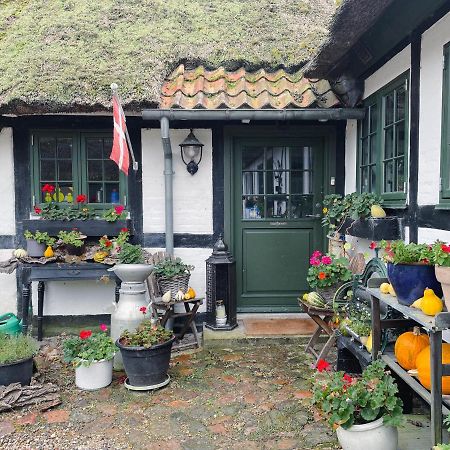 The Foresters House- Idyllic Tranquility- Non Smokers Only Store Heddinge Экстерьер фото