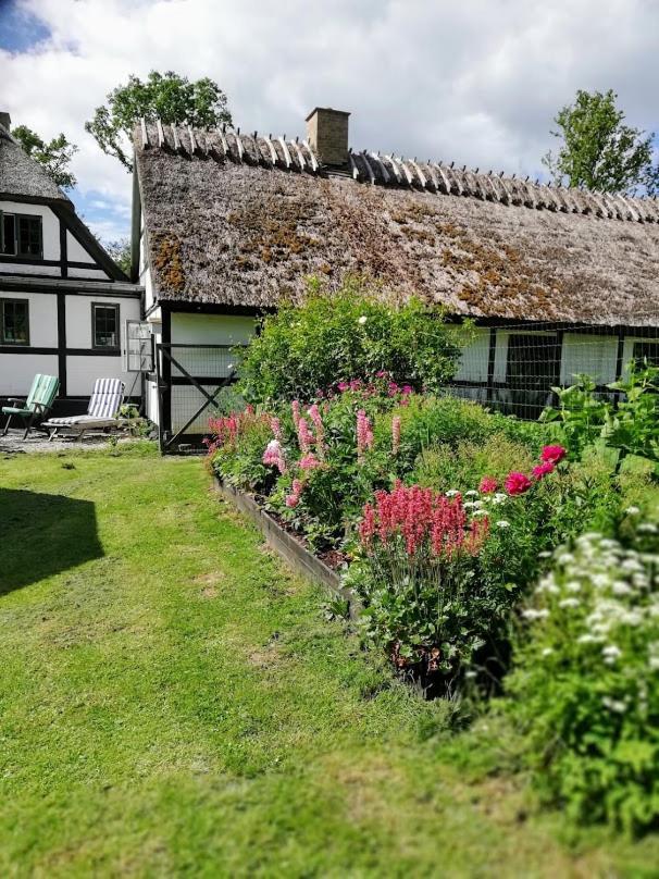 The Foresters House- Idyllic Tranquility- Non Smokers Only Store Heddinge Экстерьер фото