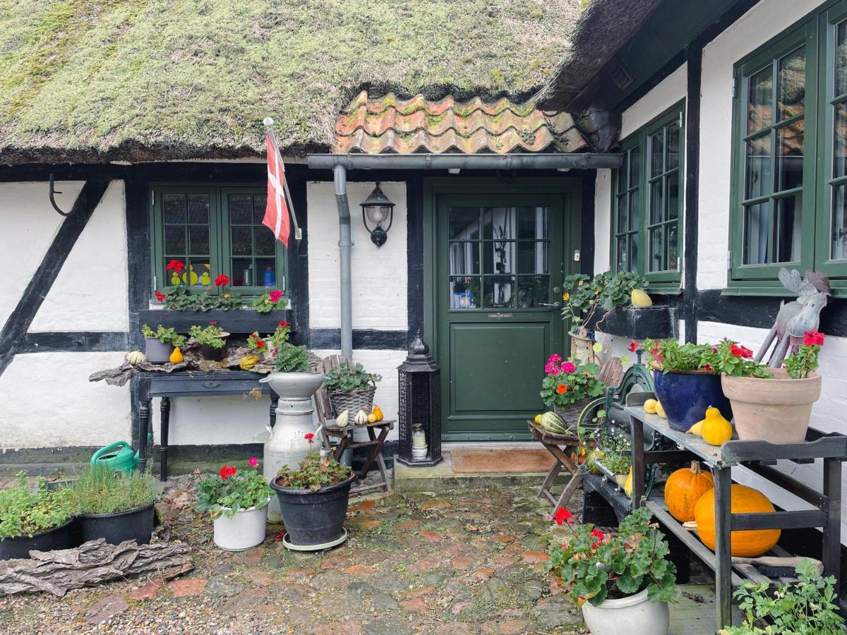 The Foresters House- Idyllic Tranquility- Non Smokers Only Store Heddinge Экстерьер фото