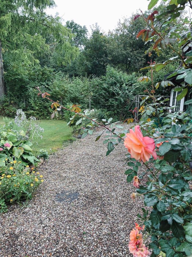 The Foresters House- Idyllic Tranquility- Non Smokers Only Store Heddinge Экстерьер фото